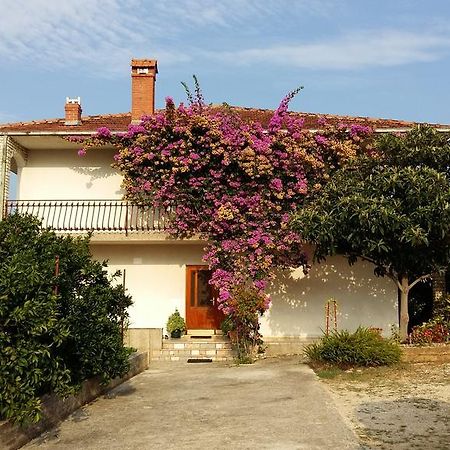 Apartman Dukic Apartment Trogir Exterior foto